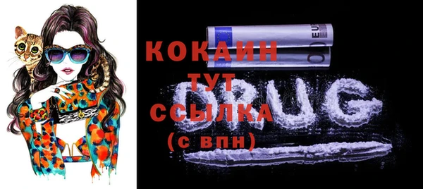 ECSTASY Верея