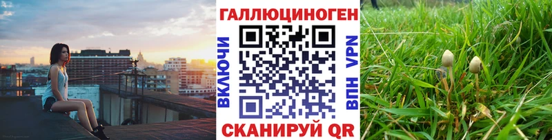 Псилоцибиновые грибы мицелий  Каспийск 